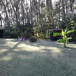 住宿加早餐酒店 D'hotes Les Iris A Sur Le Bassin D'arcachon