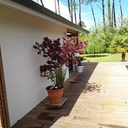 Bed & Breakfast D'hotes Les Iris A Sur Le Bassin D'arcachon 4*