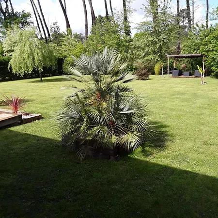 D'hotes Les Iris A Sur Le Bassin D'arcachon לינה וארוחת בוקר