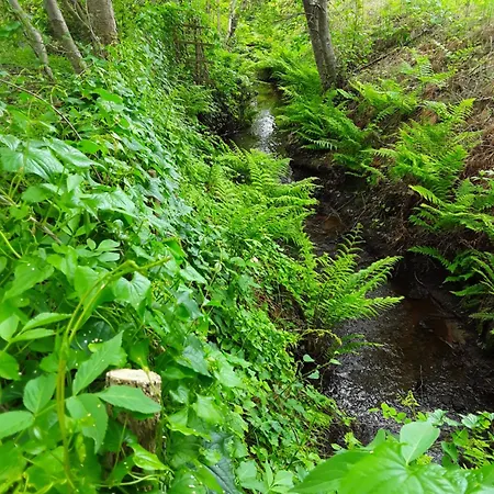 לינה וארוחת בוקר D'hotes Les Iris A Sur Le Bassin D'arcachon 4*