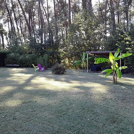 Bed & Breakfast D'hotes Les Iris A Sur Le Bassin D'arcachon
