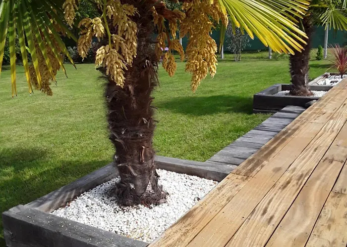 D'hotes Les Iris A Sur Le Bassin D'arcachon 4* ميوس