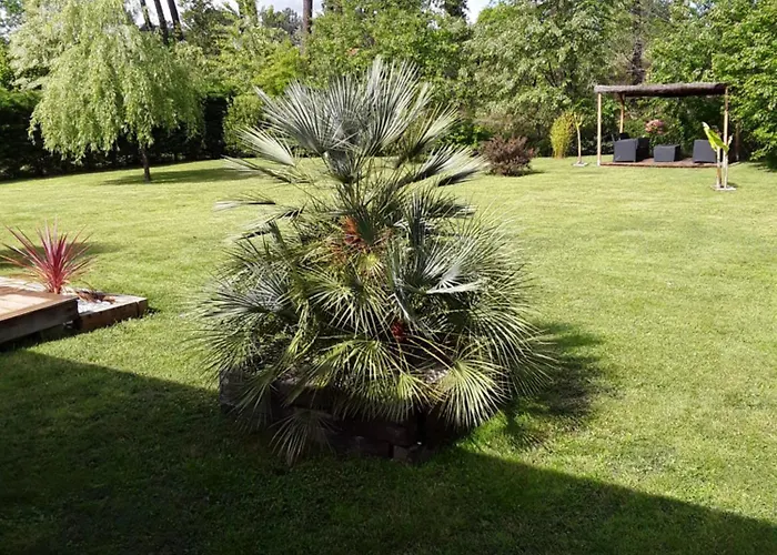 D'hotes Les Iris A Sur Le Bassin D'arcachon فندق مبيت وإفطار
