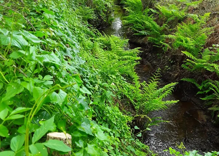 فندق مبيت وإفطار D'hotes Les Iris A Sur Le Bassin D'arcachon 4*