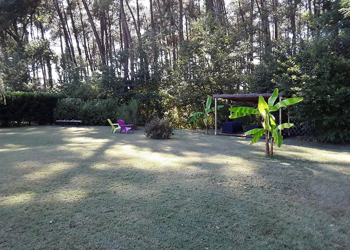 فندق مبيت وإفطار D'hotes Les Iris A Sur Le Bassin D'arcachon